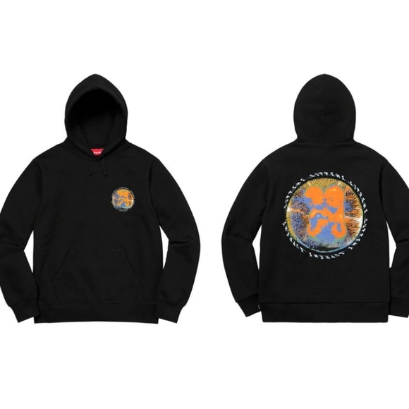 Supreme Embryo Hoodie Sweatshirt - Picture 2 of 9